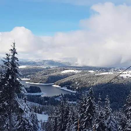 Gasthuis Vila Vals Beliş